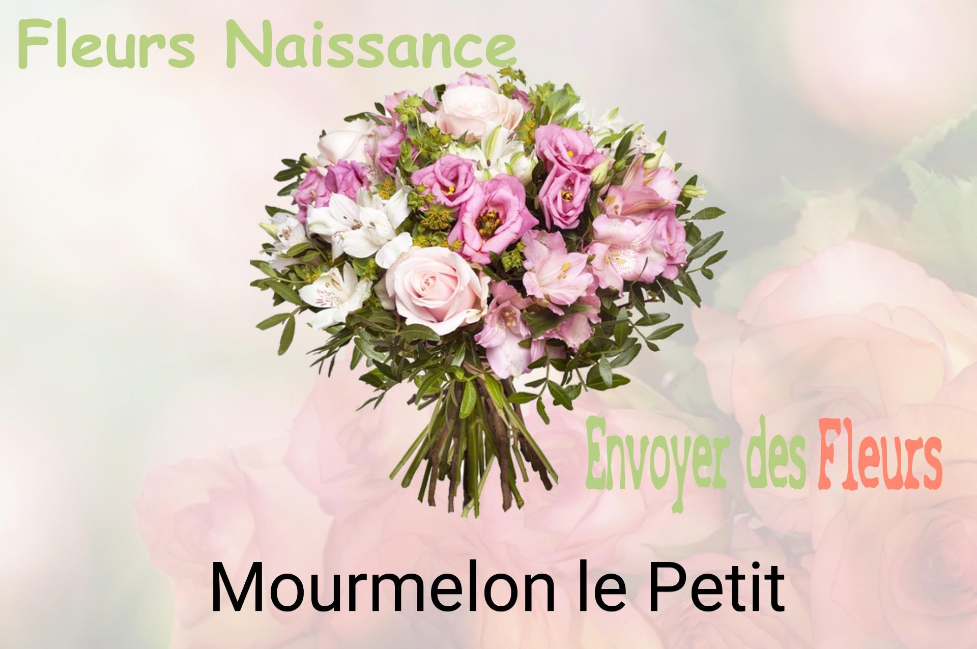 Bouquet de fleurs de naissance livré à Mourmelon-le-Petit